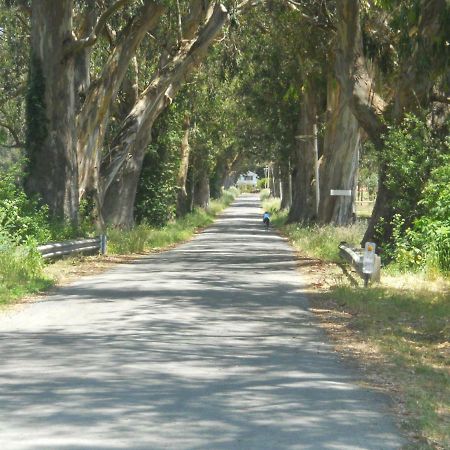 Pescadero Creek Inn Ngoại thất bức ảnh