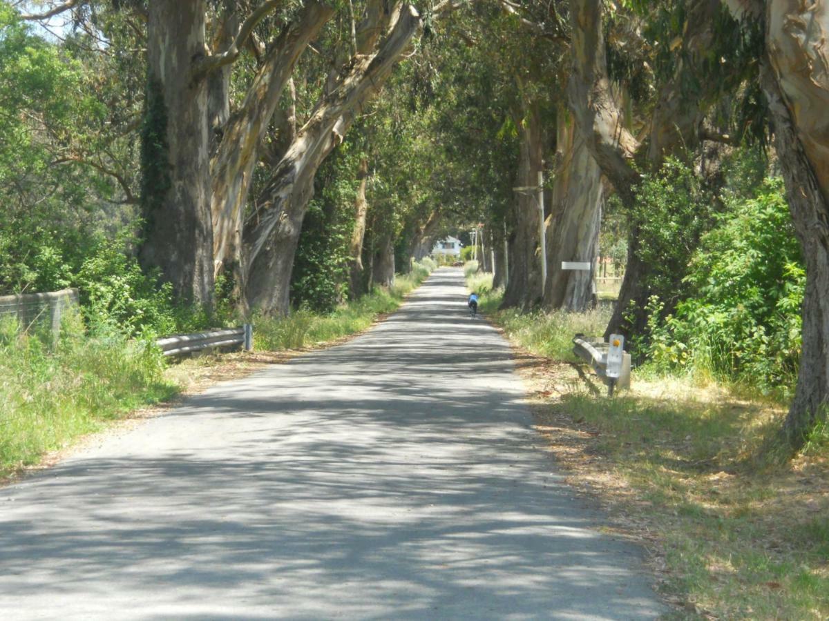 Pescadero Creek Inn Ngoại thất bức ảnh